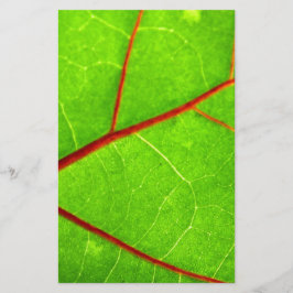 セントトマス1 便箋