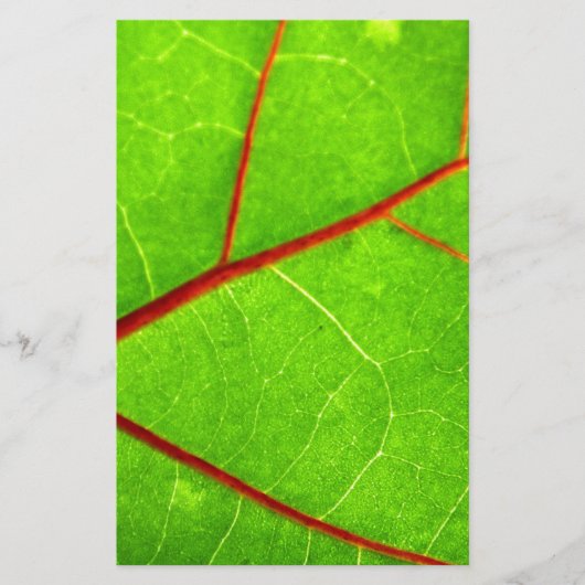 セントトマス1 便箋 (正面)