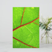 セントトマス1 便箋 (スタンド正面)