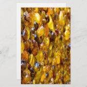 セントトマス2 便箋 (正面/裏面)