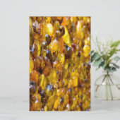 セントトマス2 便箋 (スタンド正面)