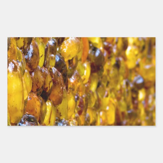 セントトマス2 長方形シール (正面)