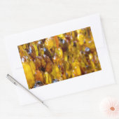 セントトマス2 長方形シール (封筒)