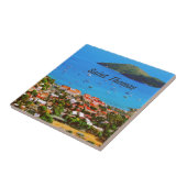 セントトマスU.S.V.I. タイル (側面)