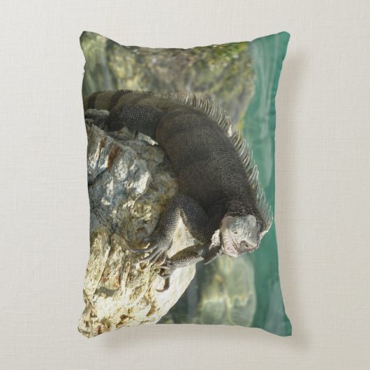 セントトーマスの岩の上のイグアナ アクセントクッション (正面(垂直))