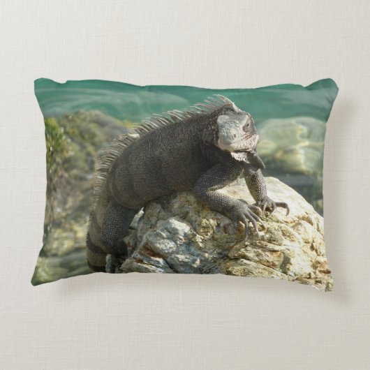 セントトーマスの岩の上のイグアナ アクセントクッション (裏面)