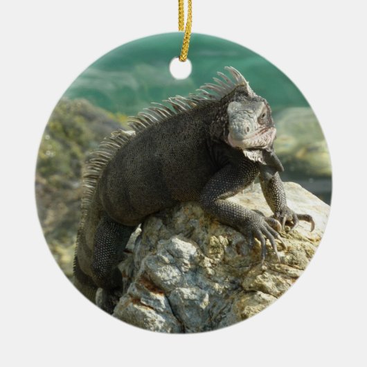 セントトーマスの岩の上のイグアナ セラミックオーナメント (正面)