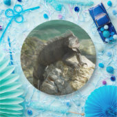 セントトーマスの岩の上のイグアナ ペーパープレート (パーティー)