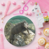 セントトーマスの岩の上のイグアナ ペーパープレート (パーティー)