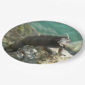 セントトーマスの岩の上のイグアナ ペーパープレート (アングル)