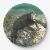 セントトーマスの岩の上のイグアナ ペーパープレート (正面)