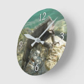 セントトーマスの岩の上のイグアナ ラウンド壁時計 (傾斜)