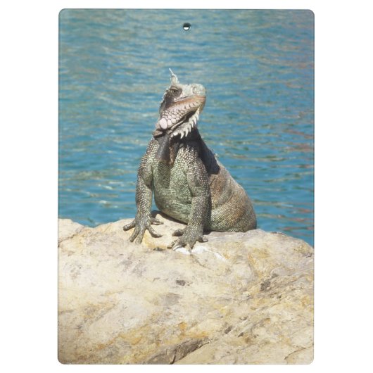 セントトーマスのIguana熱帯野生動物写真 クリップボード (裏面)