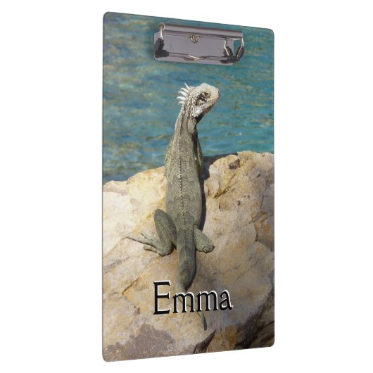 セントトーマスのIguana熱帯野生動物写真 クリップボード (右)