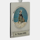 セントトーマスのIguana熱帯野生動物写真 シルバープレートバナーオーナメント (右)