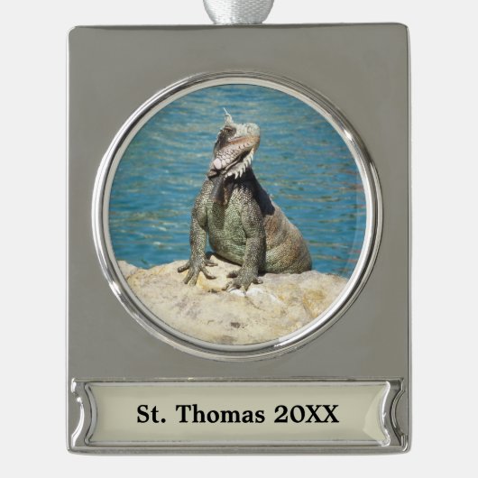 セントトーマスのIguana熱帯野生動物写真 シルバープレートバナーオーナメント (正面)