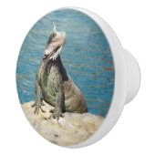 セントトーマスのIguana熱帯野生動物写真 セラミックノブ (右)