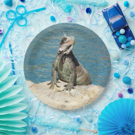 セントトーマスのIguana熱帯野生動物写真 ペーパープレート (パーティー)