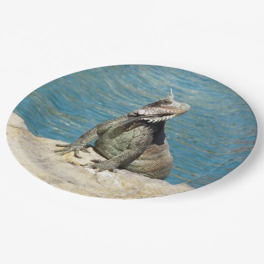 セントトーマスのIguana熱帯野生動物写真 ペーパープレート (アングル)