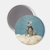 セントトーマスのIguana熱帯野生動物写真 マグネット (正面/裏面)