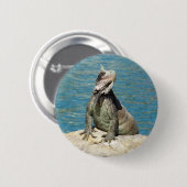 セントトーマスのIguana熱帯野生動物写真 缶バッジ (正面&裏面)