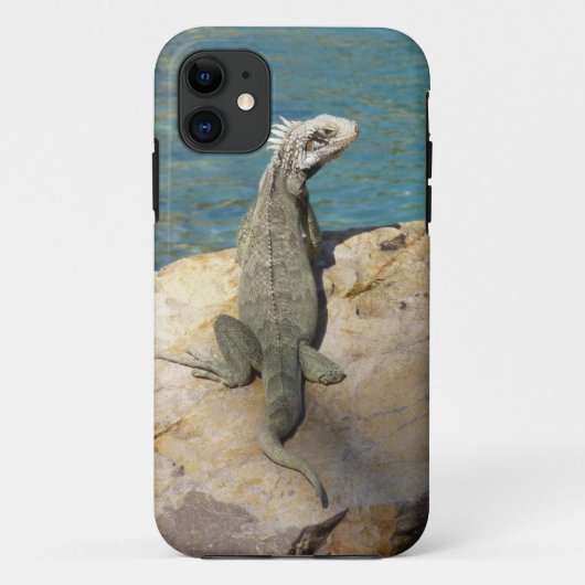 セントトーマスのIguana熱帯野生動物写真 Case-Mate iPhoneケース (裏面)