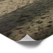 セントトーマスビーチポスター ポスター (角)