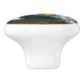 セントトーマス島、米領バージン諸島でのカヤッキング セラミックノブ (側面)