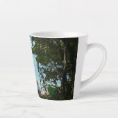 セントトーマス米ヴァージン諸島でカヤック カフェラテマグ (右)