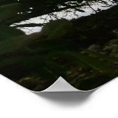 セントトーマス米ヴァージン諸島でカヤック ポスター (角)