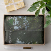 セントトーマス米ヴァージン諸島でカヤック 薄葉紙 (ギフト)