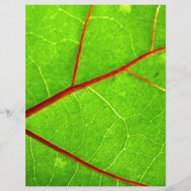 セントトーマス1 (正面)