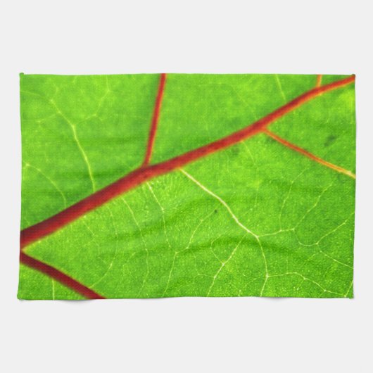 セントトーマス1 キッチンタオル (横)