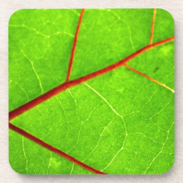 セントトーマス1 コースター