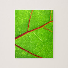 セントトーマス1 ジグソーパズル