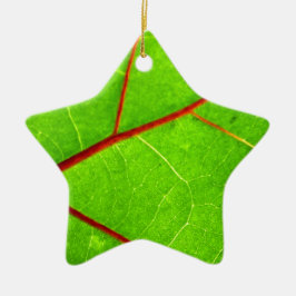 セントトーマス1 セラミックオーナメント