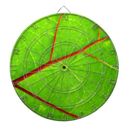 セントトーマス1 ダーツボード