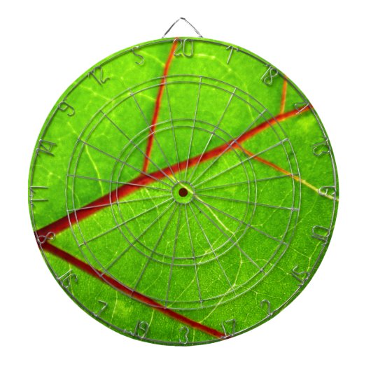 セントトーマス1 ダーツボード (正面)