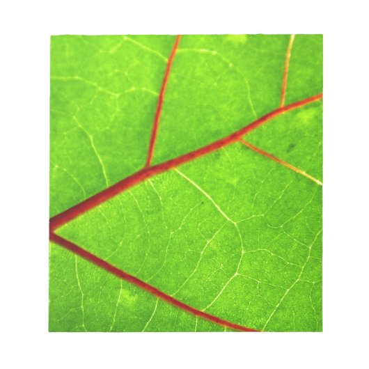 セントトーマス1 ノートパッド (正面)