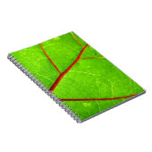 セントトーマス1 ノートブック (右側)