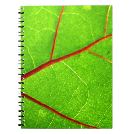 セントトーマス1 ノートブック (正面)