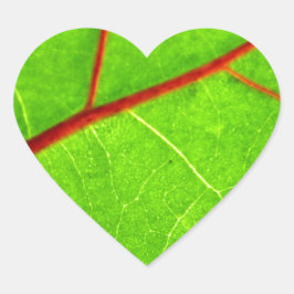 セントトーマス1 ハートシール