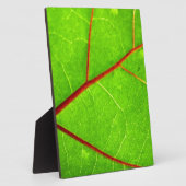 セントトーマス1 フォトプラーク (側面)