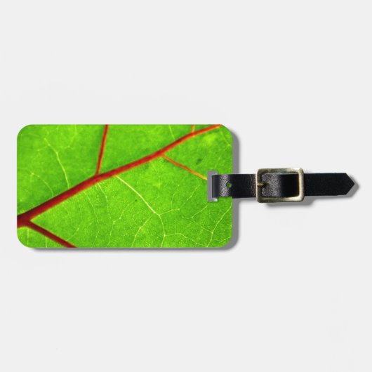 セントトーマス1 ラゲッジタグ (正面横)