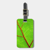 セントトーマス1 ラゲッジタグ (正面縦)