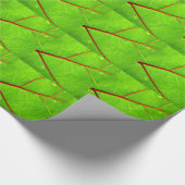 セントトーマス1 ラッピングペーパー (角)