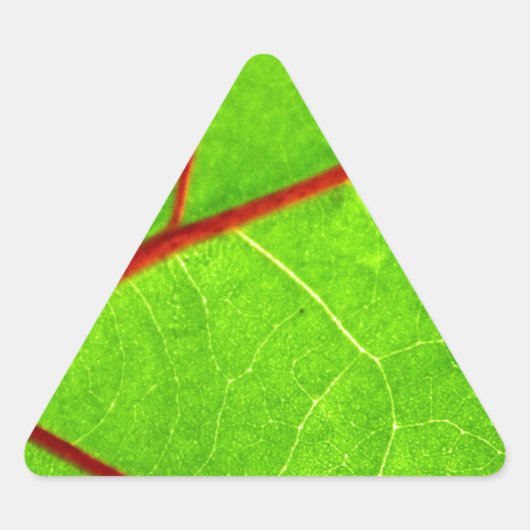 セントトーマス1 三角形シール (正面)