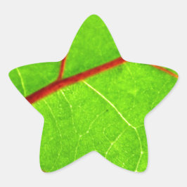 セントトーマス1 星シール