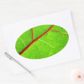 セントトーマス1 楕円形シール (封筒)