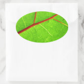 セントトーマス1 楕円形シール (バッグ)